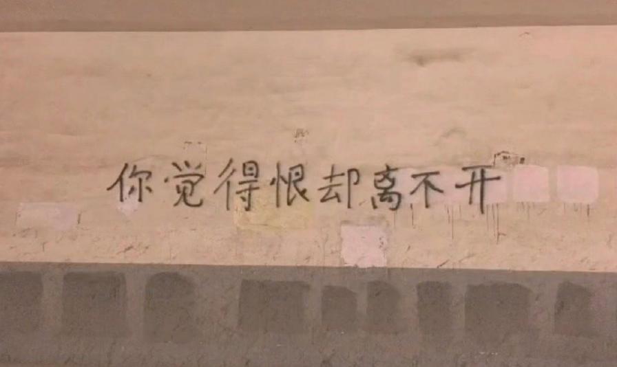 周震南被猫咬到了,周震南与何洛洛聊天记录