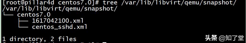知了堂｜虚拟机快照创建、常见问题解决办法