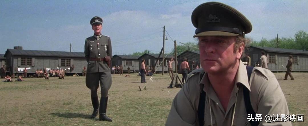 球王贝利最好纪录片,球王贝利史泰龙合拍的电影