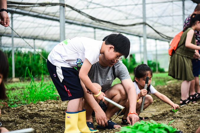 乌村暑期夏令营，吃喝玩乐在这里