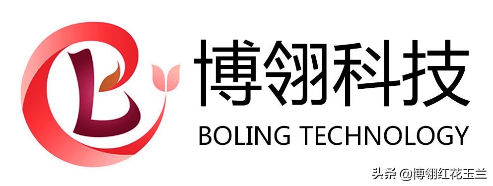 娇红一号玉兰真假识别,娇红一号玉兰和黄鸟玉兰区别