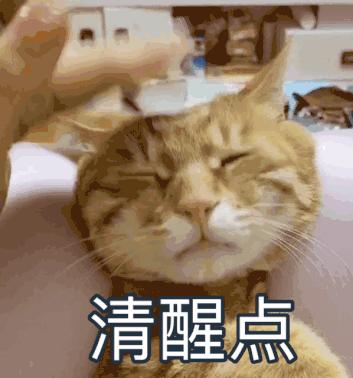 雅思听力提分方法和技巧,雅思9分秘诀搞笑