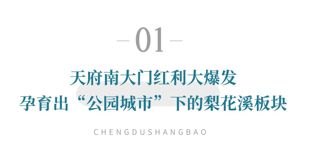 城南品质大盘,城南新区10万左右的房子