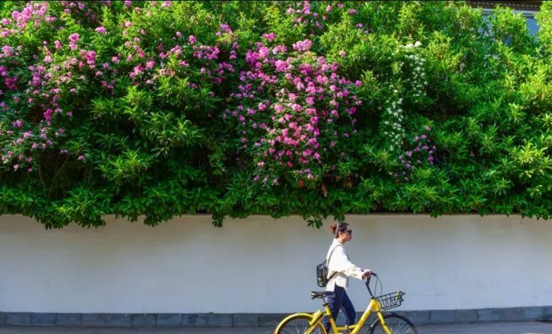 扬州生活很惬意,江苏扬州平安幸福