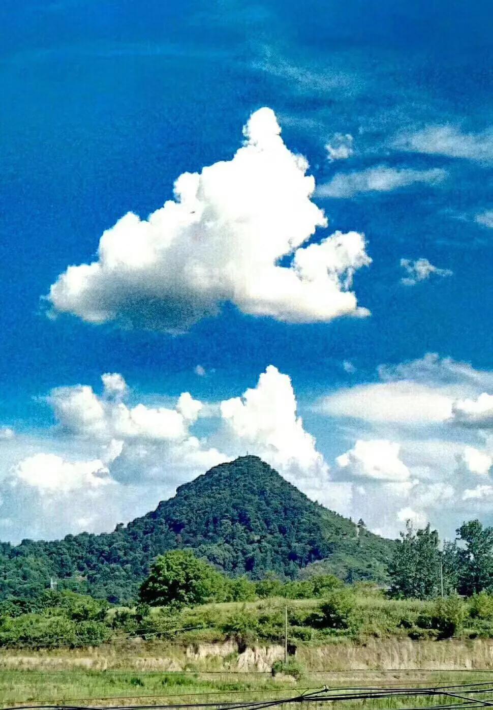 叶细显的诗全集,诗词雅趣对联大全