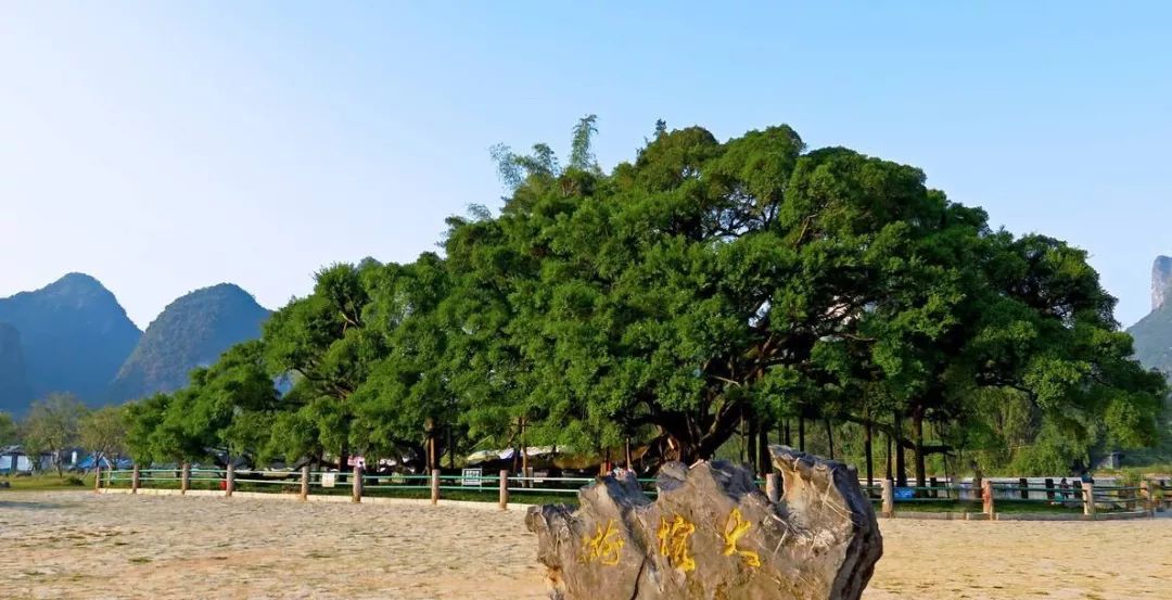 桂林旅游攻略美食,桂林旅游攻略及费用