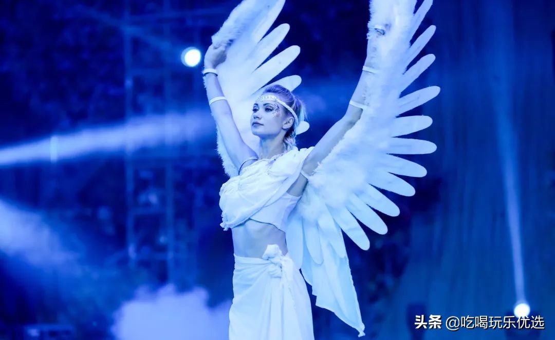 厦门灵玲动物王国大熊猫,厦门马戏团灵玲动物王国观光游览