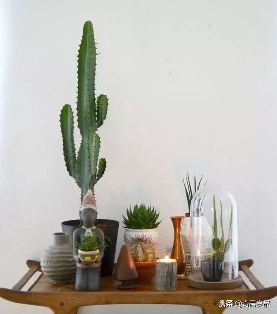 怎样弄一个简单的花园,如何在家打造一个花园