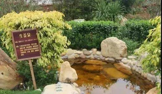 「冬来临·醉温泉」新装怡情谷主楼高级房,早晚2餐+泡38个温泉池