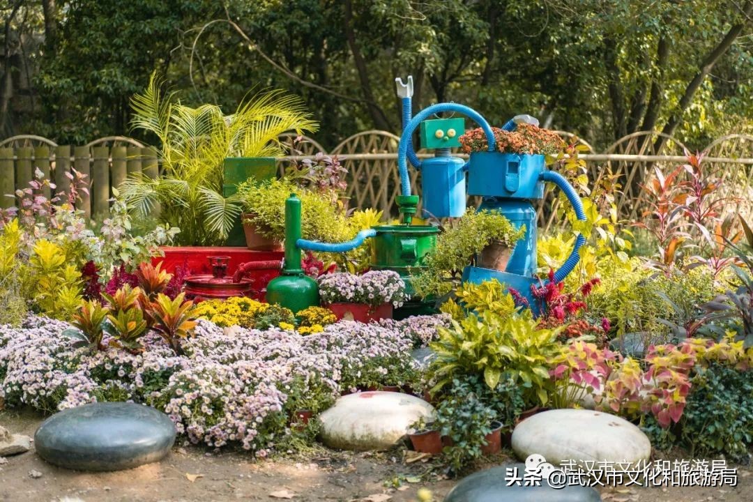 花点时间武汉东湖樱花园,武汉花点时间