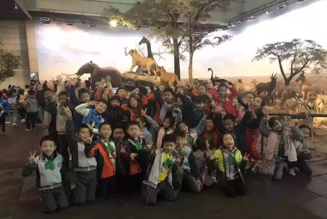 今年多招3个班，入户需要满1年以上！这所一贯制公办校值得关注