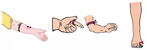 湖南惊现巨型眼镜蛇,惊现巨型眼镜蛇