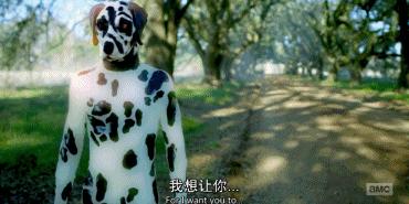 豆瓣9.0分以上电影,豆瓣9.6hbo神剧