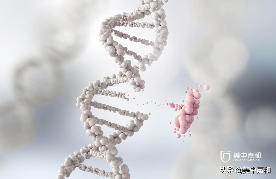 基因检测看病骗局,基因化验是智商税吗