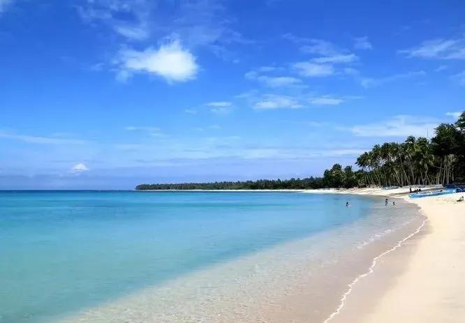 疫情期干点啥好挣钱,疫情期做什么