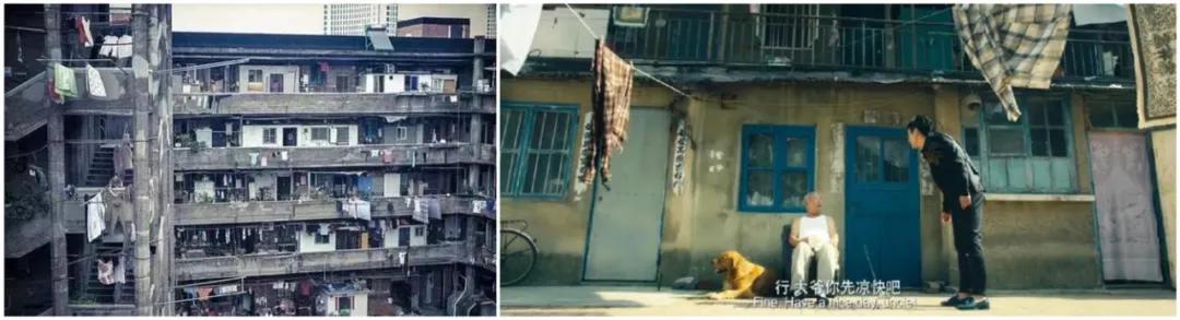 知乎绿城丨阳台之上