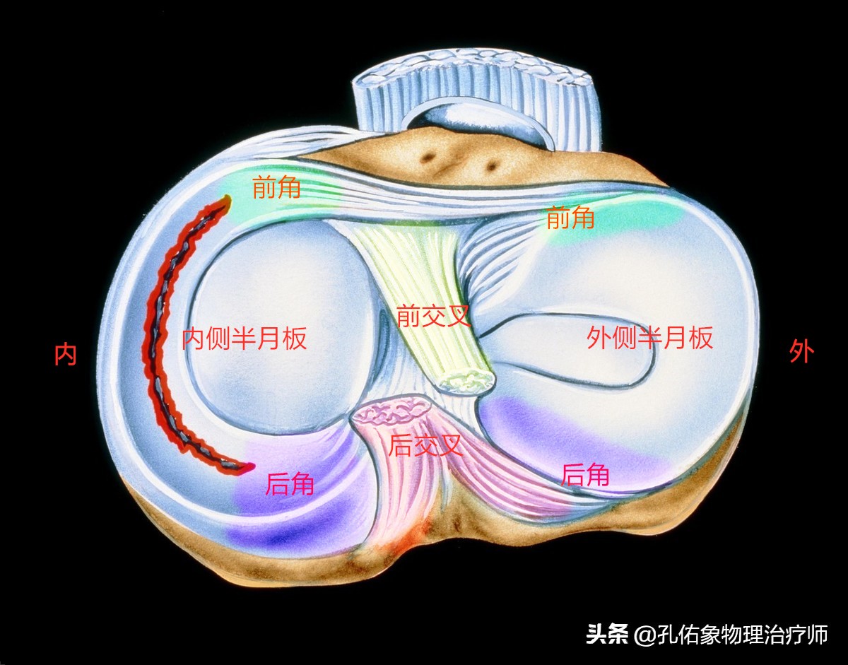 膝盖痛是什么病引起的怎么治,膝盖疼致病原因