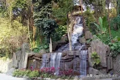 福建农林大学林学院,福建农林大学是几本