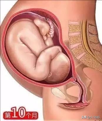 怀孕每个月的注意事项,准妈妈怀孕每个月应注意什么