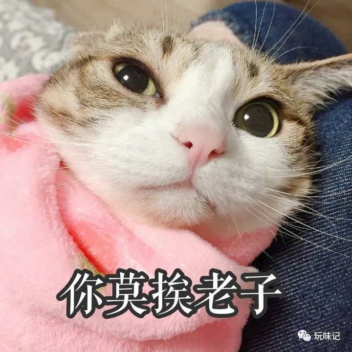 儿童节迪士尼乐园攻略,儿童节到了要玩什么呢