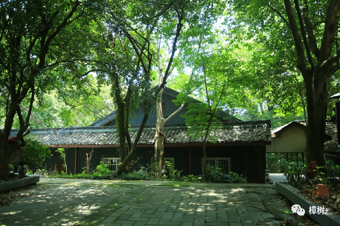 樟树铁路大桥事故,樟树铁路事故