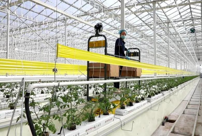 中国对中亚的影响,中亚五国对中国的影响