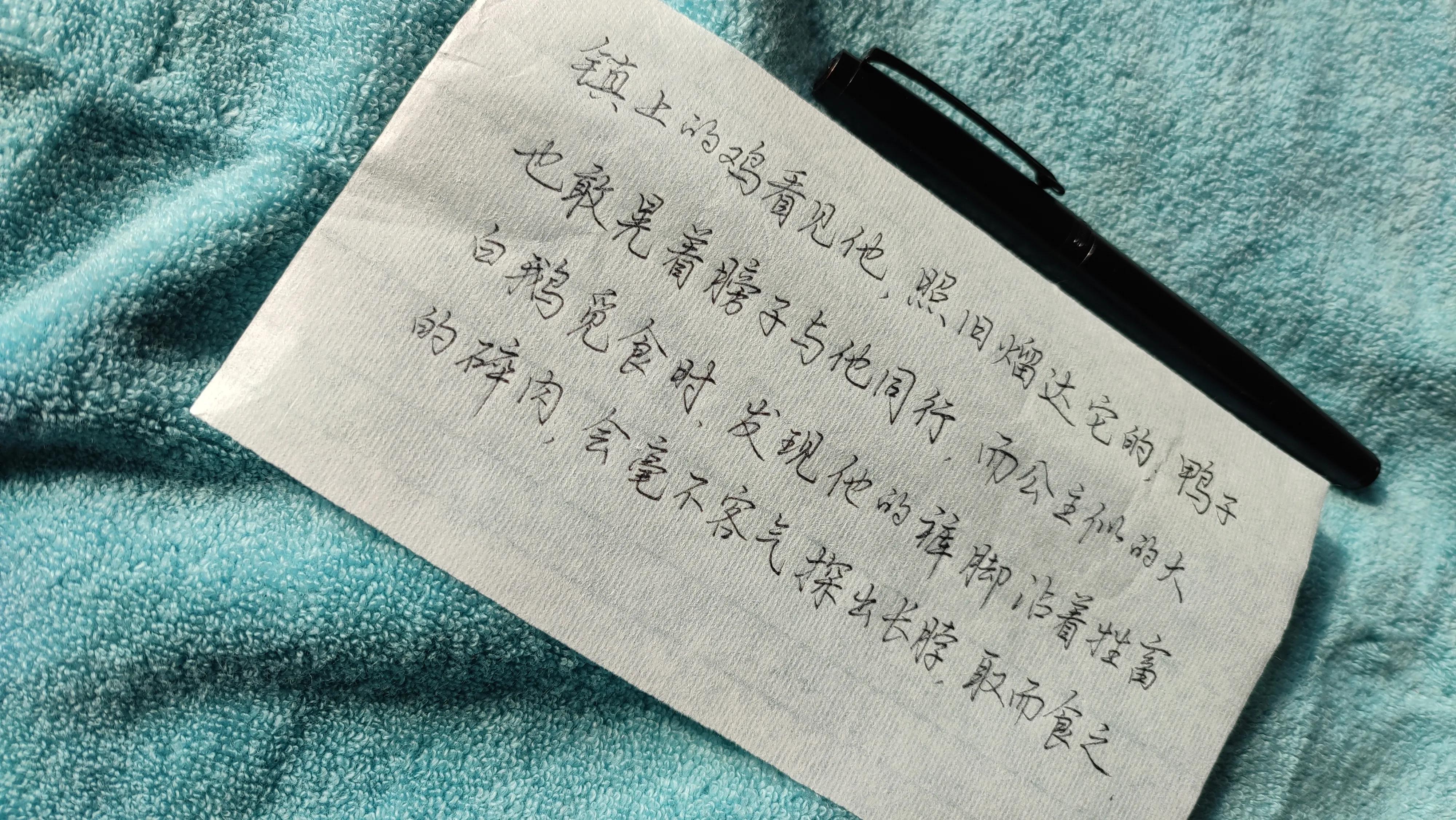 硬笔行楷100个经典语录,硬笔行楷优美句子