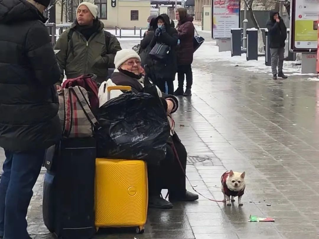 骑摩托逃离乌克兰：一个中国留学生在路上的五天|欧洲来信