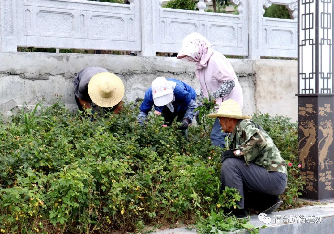 民生议事厅,百姓议事厅民生实事