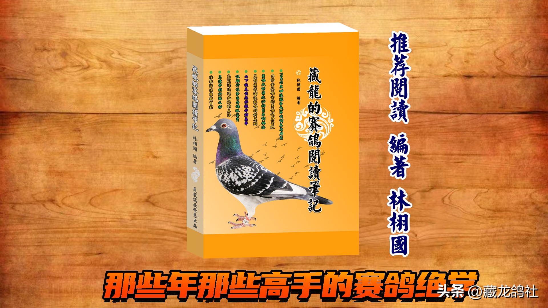 赛鸽配对口决,赛鸽鸽眼配对顺口溜