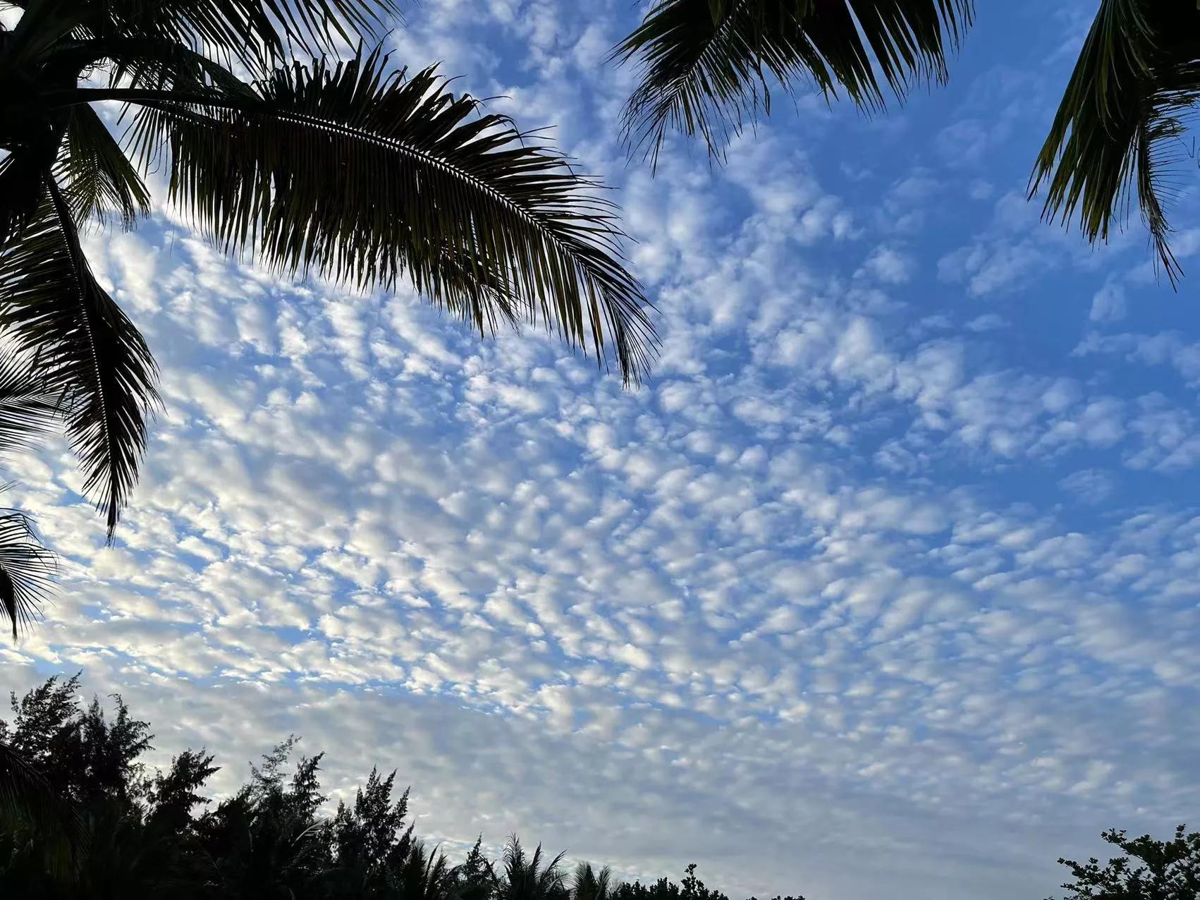 三亚海棠湾海边跑车兜风,三亚太阳湾游记