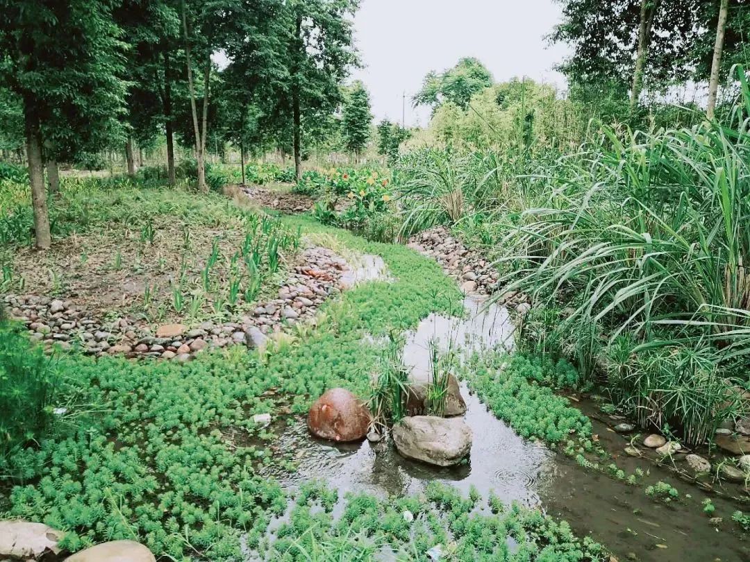 请查收！20个农业重大项目投资机会清单出炉！