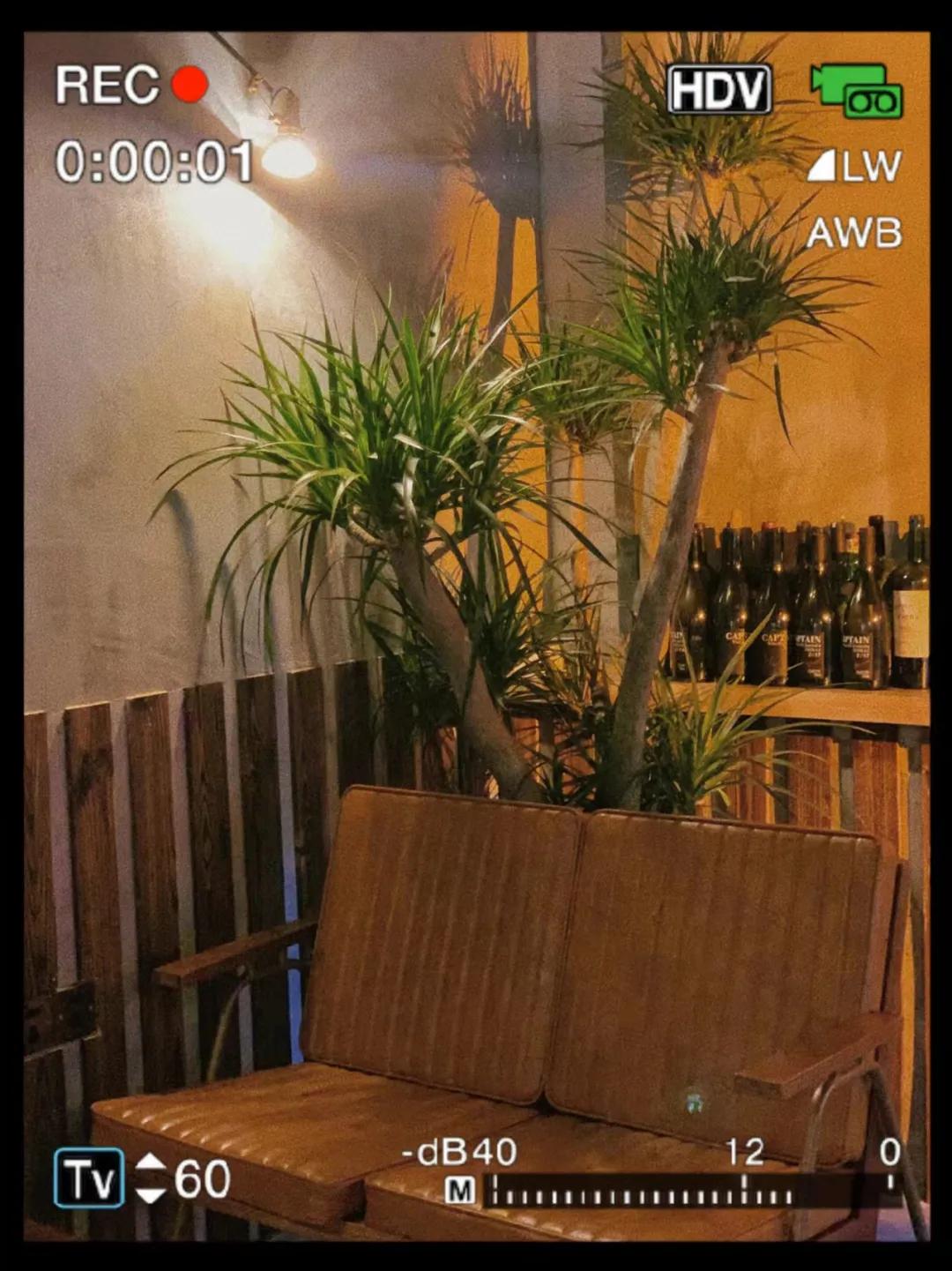 鎽╂牴閲囪鑲夐涓讳箟,鎽╂牴鎺㈠簵