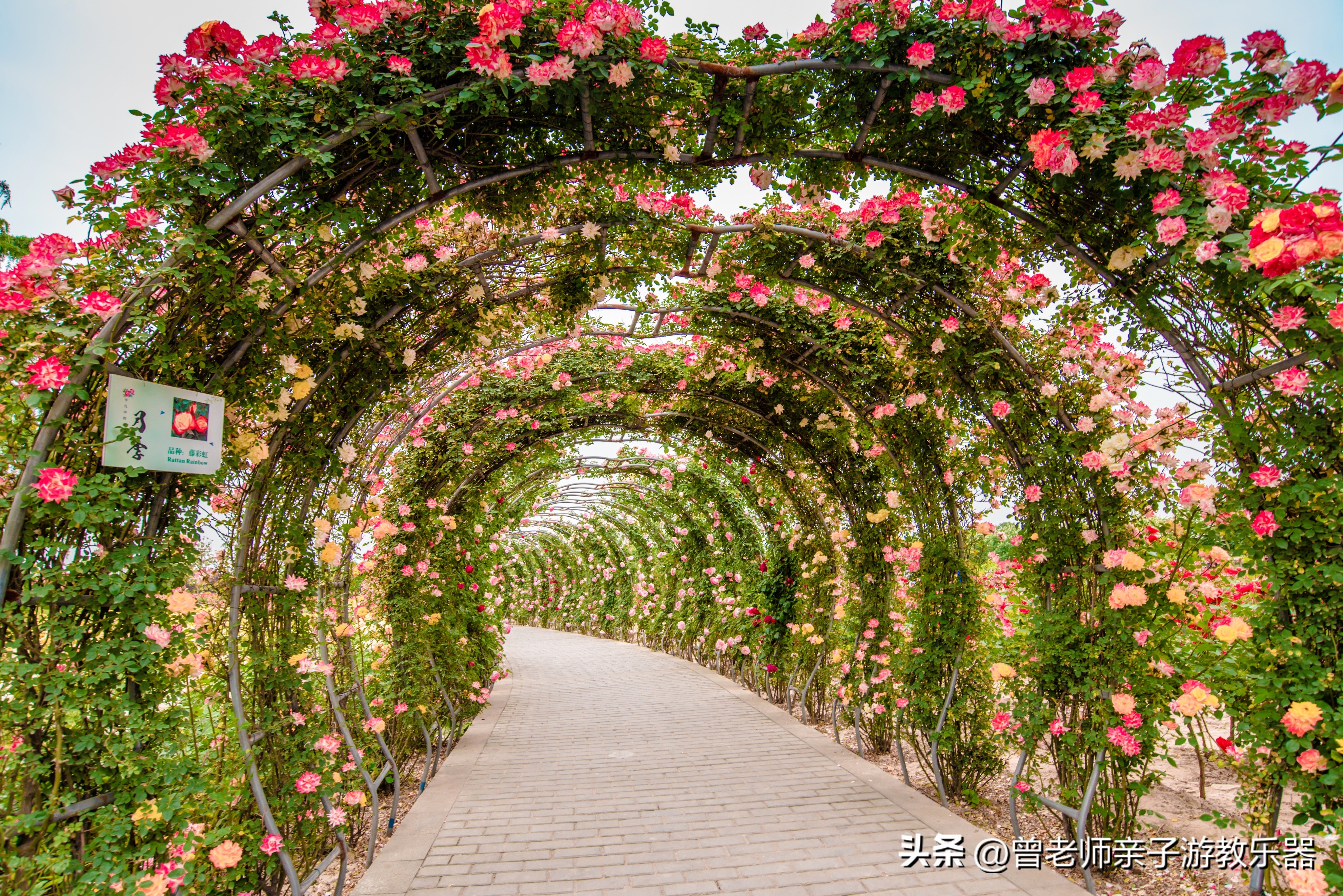 西安旅游景点免费推荐一日游攻略,西安旅游必去景点推荐一日游免费