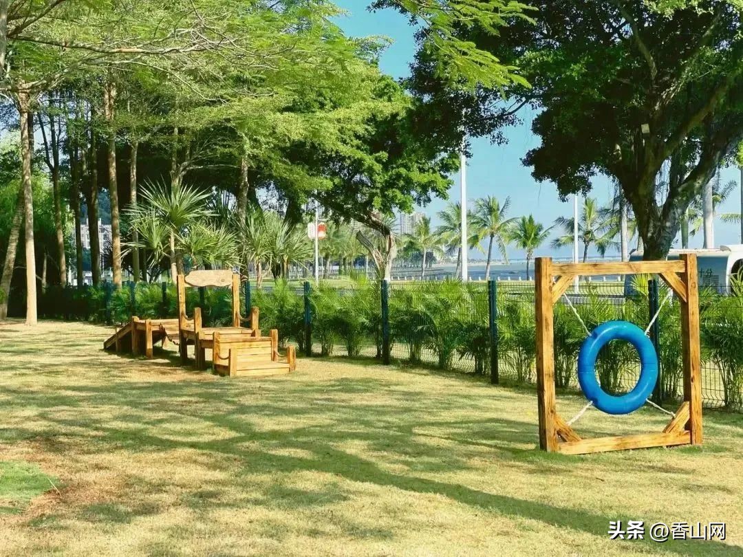 珠海遛狗有市场吗,珠海有哪些地方可以遛狗啊