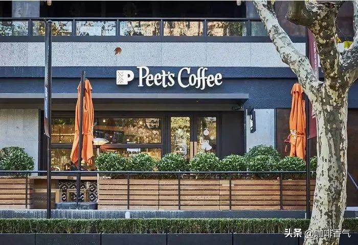 现磨咖啡买什么牌子的咖啡豆,好喝不贵的咖啡豆