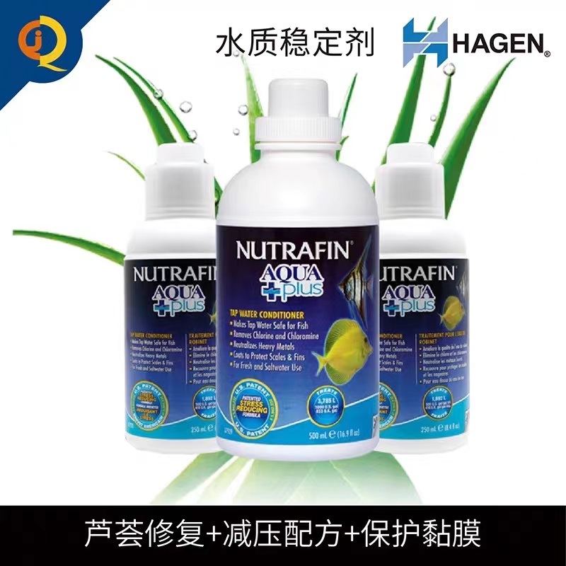 怎样去除养观赏鱼水里的氯,养鱼水如何消毒不伤鱼