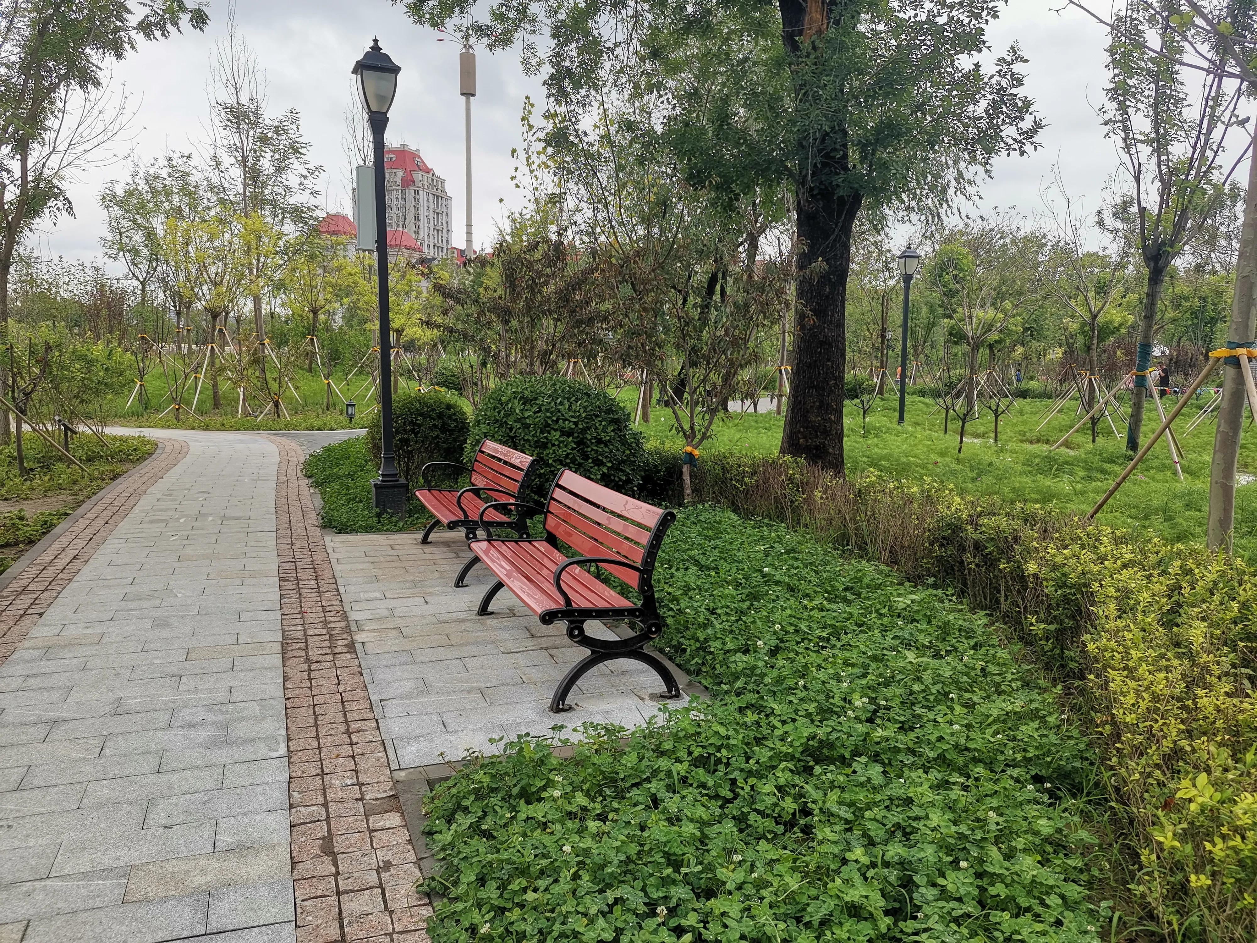 大雨过后的天津,大雨后的公园视频