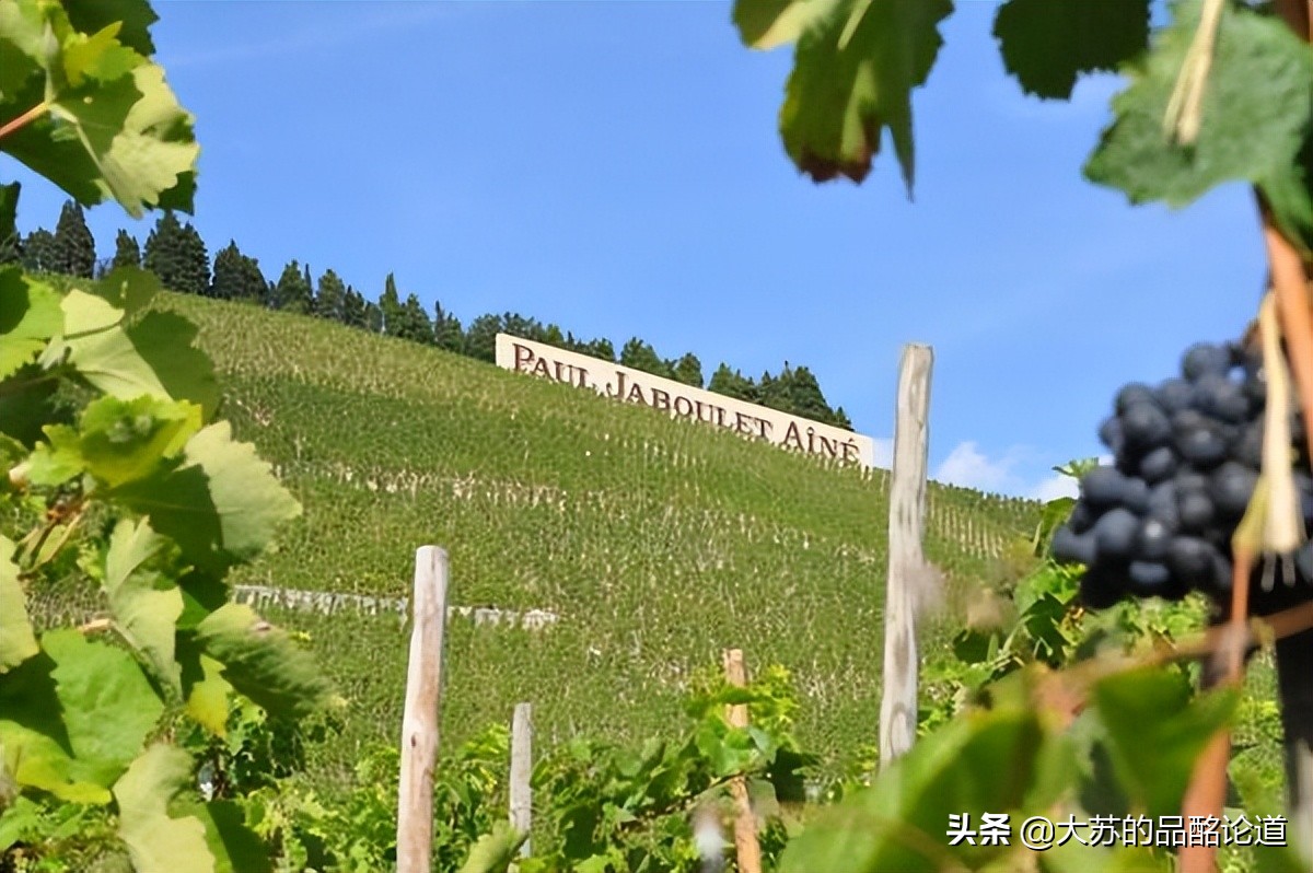 法国葡萄酒前十名,法国干红葡萄酒十大品牌