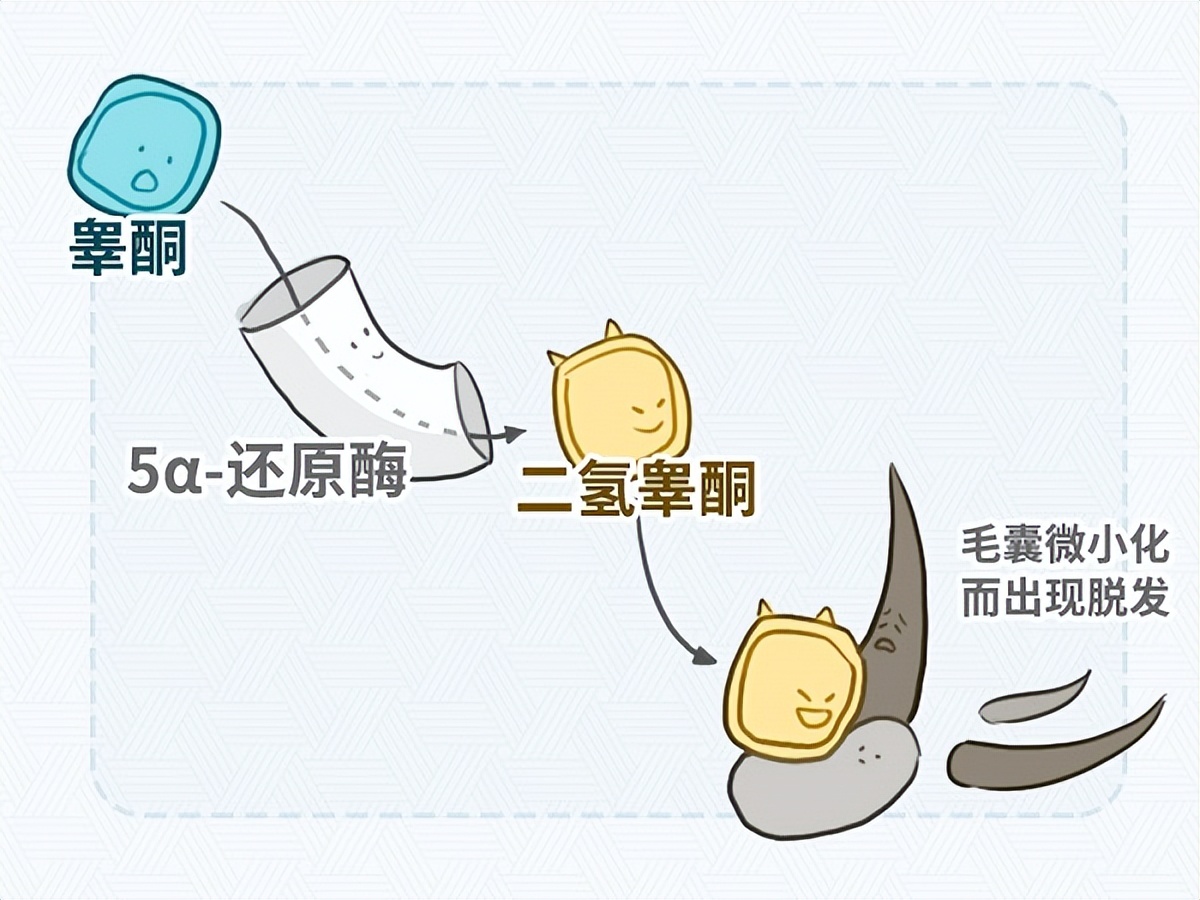 防脱生发洗发偏方,懒人生发最有效的办法