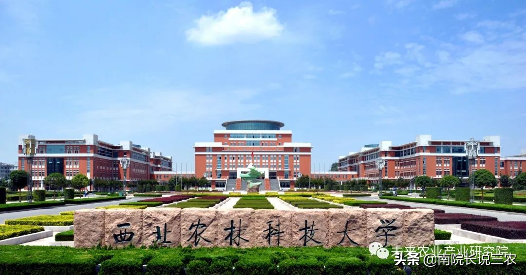 中国希望之星6,希望之星中国之星