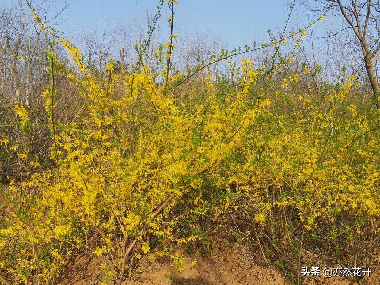 如何提高故事写作能力,学习写作技巧的感悟