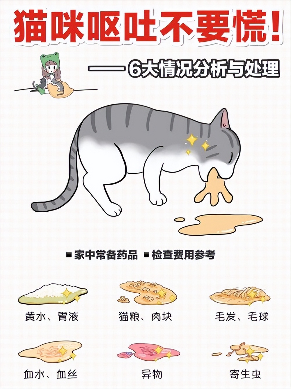 猫吃猫草后需要吐几天,猫咪猫草吃多了会嗜睡吗