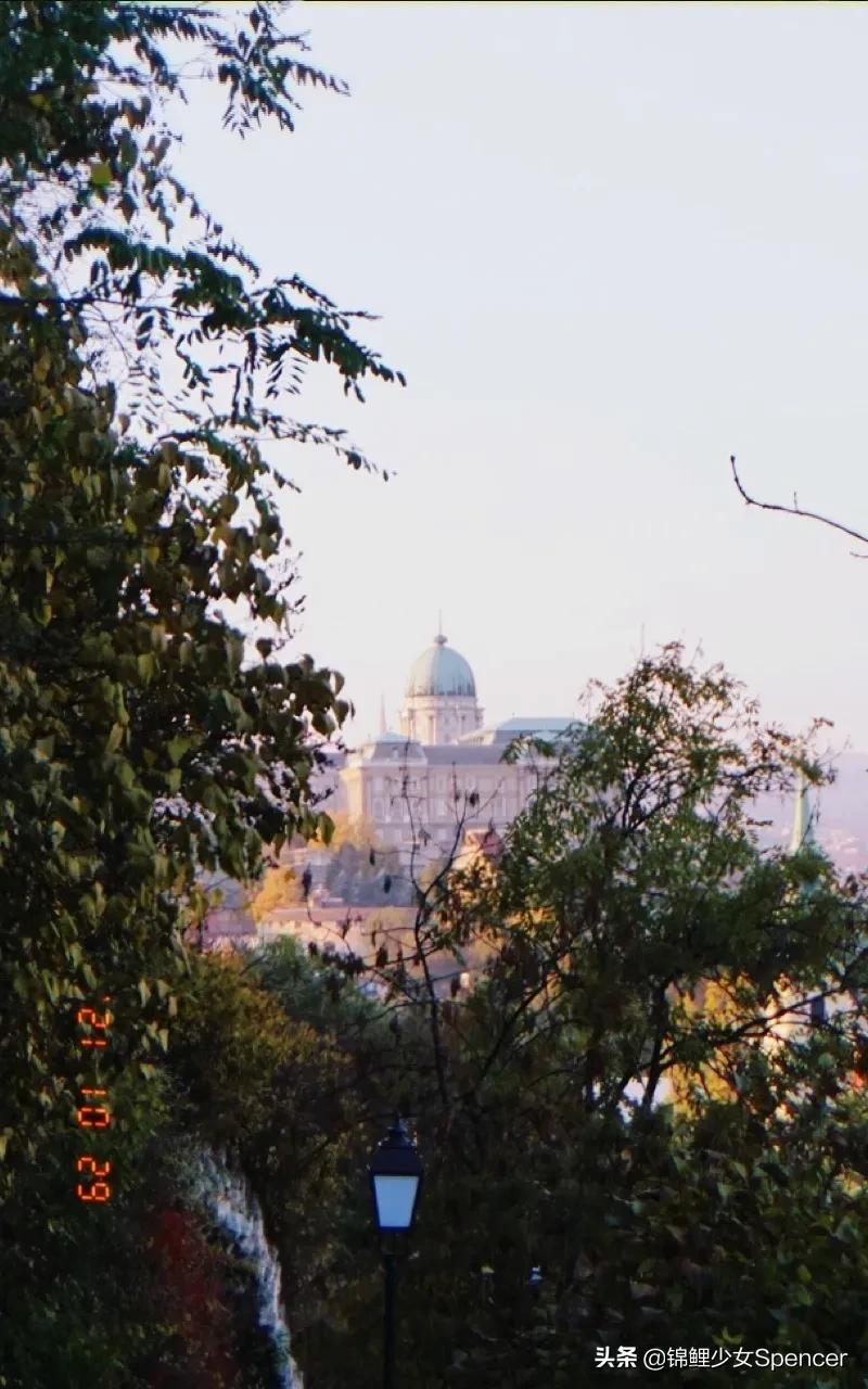 我在布达佩斯，收集了很多秋天送给你