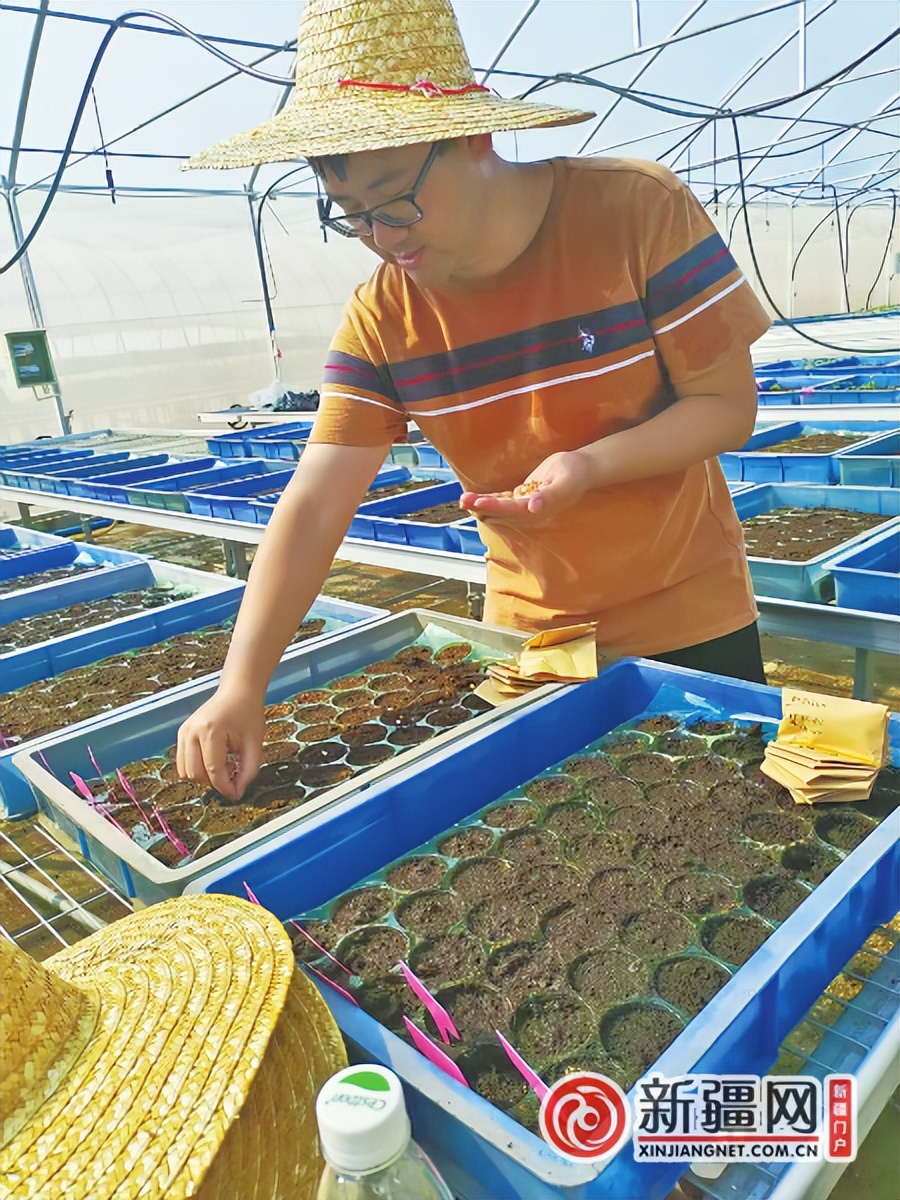 让青年在火热实践中绽放绚丽之花,让青春在激情奋斗中绽放绚丽光彩