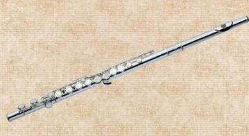 长笛生锈用什么方法,长笛生锈怎么擦干净