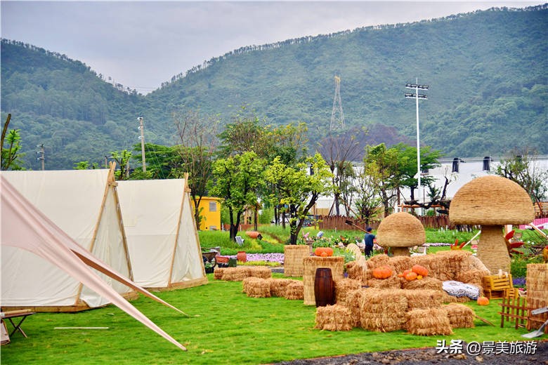 佛山旅游景点攻略,佛山森林公园游玩攻略