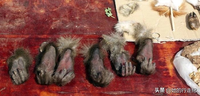 小勐拉到金三角有多远,从缅甸小勐拉走国门回去的流程