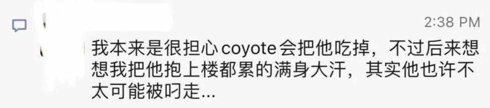 20多斤巨型橘猫,20斤的流浪橘猫