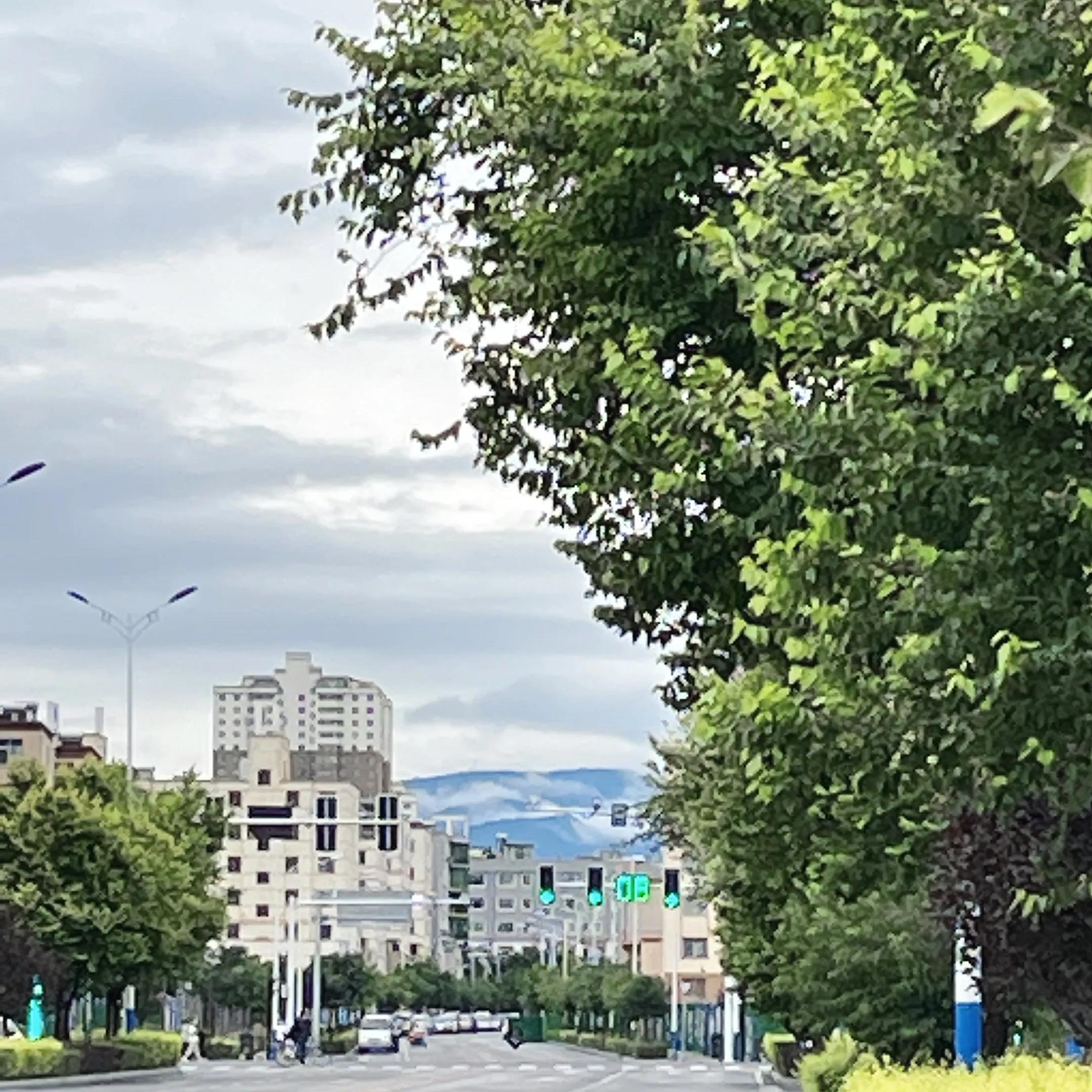 蓝天如净洗碧树映蓝天红日正升起元姆